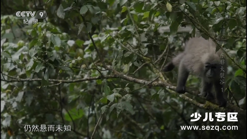 东非大裂谷 美丽的非洲心脏 - 动画资源画廊第3张