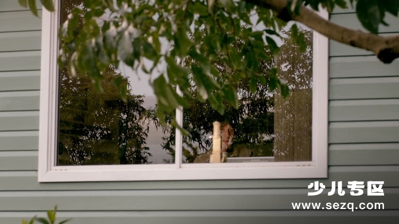 生命的奇迹 - 动画资源画廊第9张