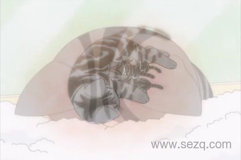 甜甜私房猫 - 动画资源画廊第4张