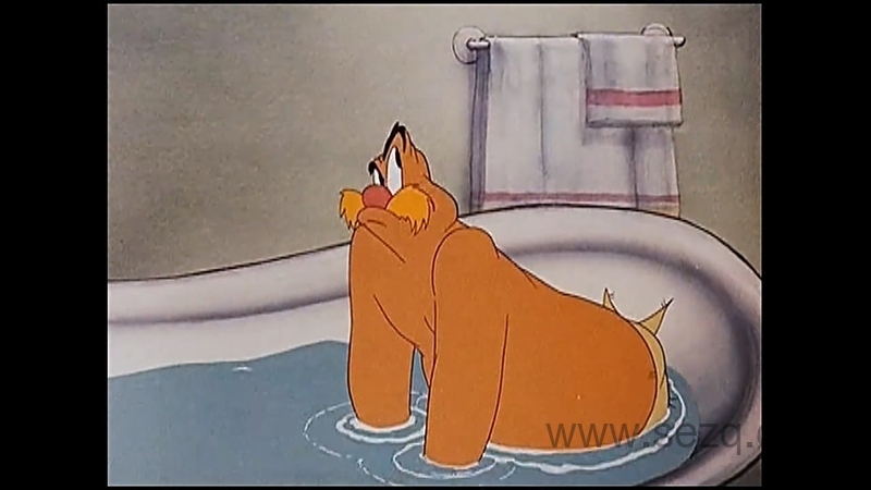 啄木鸟伍迪 - 动画资源画廊第7张