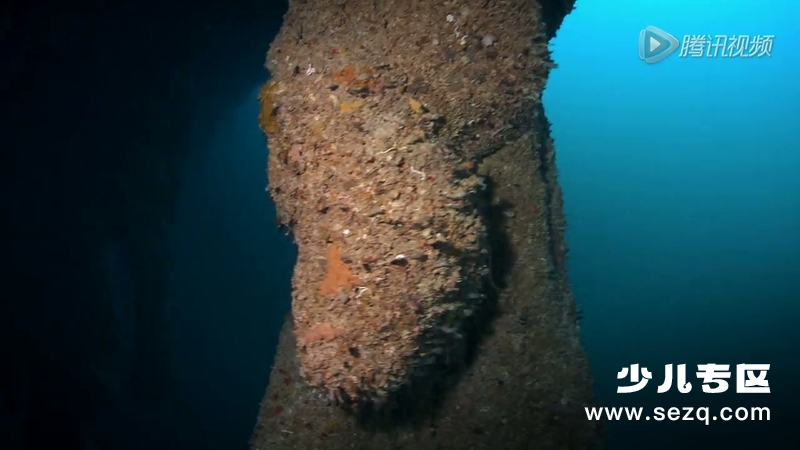 寰宇轨迹 - 动画资源画廊第8张