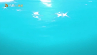 汪汪队动画片《汪汪队立大功之海陆空大行动 PAW Patrol: Air, Land & Sea Adventures》第一季 国语版 全20集MP4下载 - 少儿专区