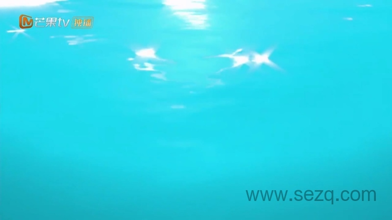 汪汪队立大功之海陆空大行动 - 动画资源画廊第1张