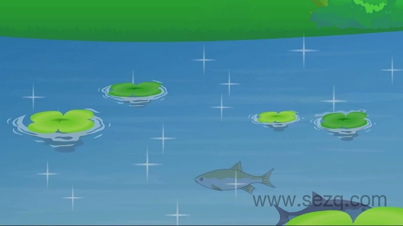 兔小贝之神奇的大自然 - 动画资源画廊第2张