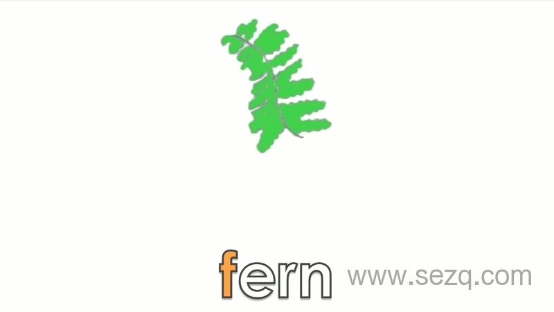 Howtoteachreadingwithphonics - 动画资源画廊第3张