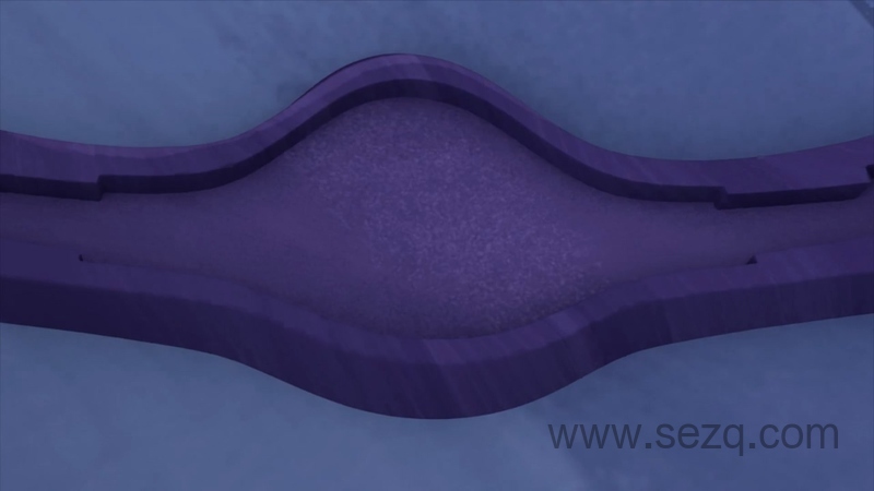 新神探加杰特 - 动画资源画廊第4张