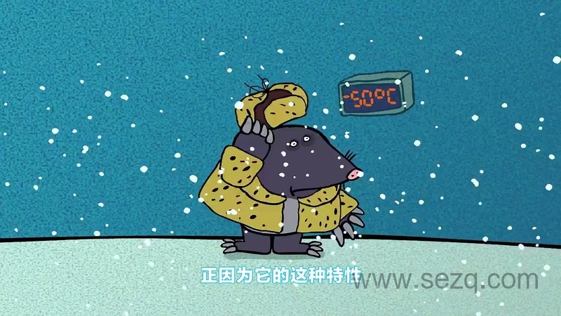 平博士密码 - 动画资源画廊第4张