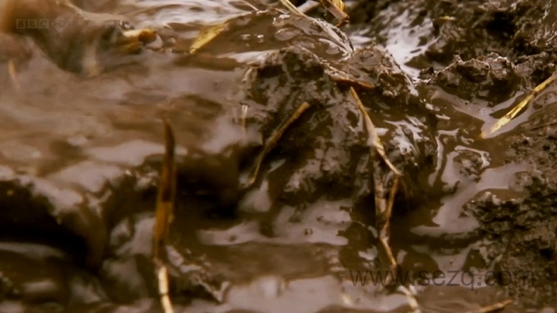 肮脏的城市 - 动画资源画廊第8张