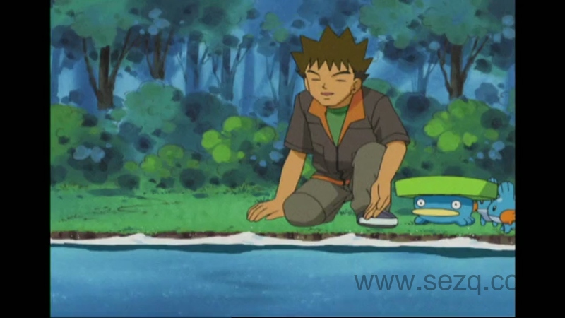 精灵宝可梦：超世代 - 动画资源画廊第9张