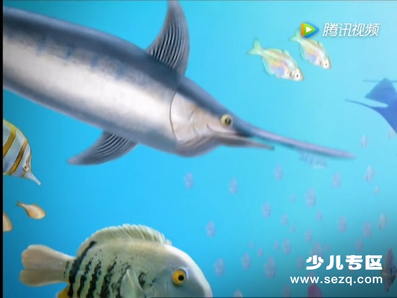 神奇宠物救援队 - 动画资源画廊第4张