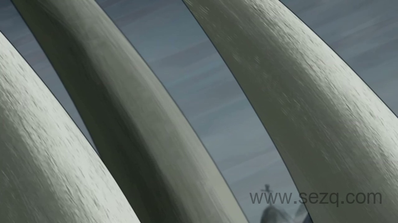 恐龙王 - 动画资源画廊第7张