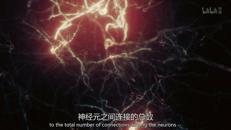 宇宙时空之旅：未知世界 - 动画资源画廊第4张