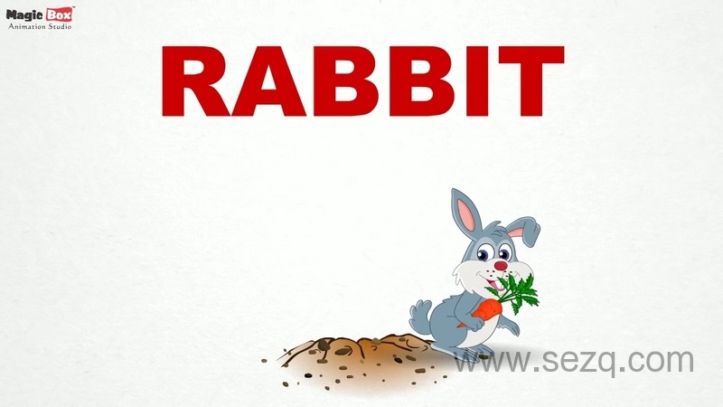 SOLO1～6岁美国原版幼儿园启蒙英语 - 动画资源画廊第2张