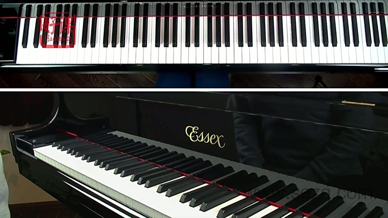 好课小汤幼儿钢琴课程 - 动画资源画廊第7张