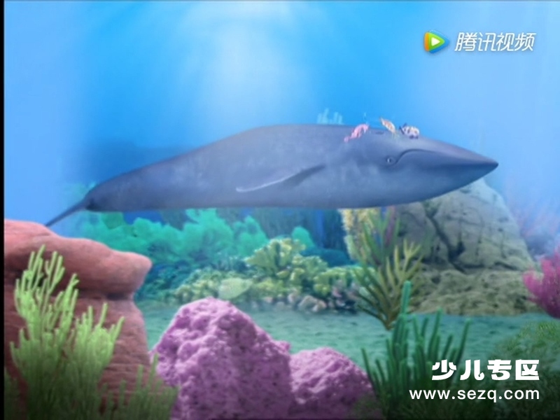 神奇宠物救援队 - 动画资源画廊第7张