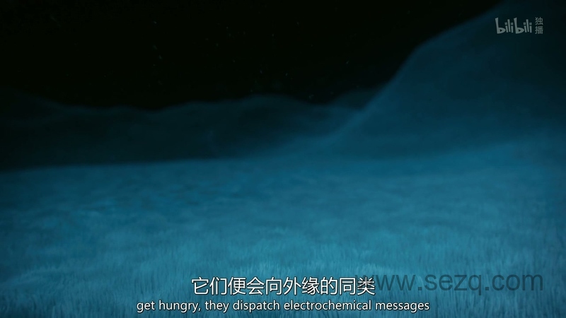 宇宙时空之旅：未知世界 - 动画资源画廊第6张