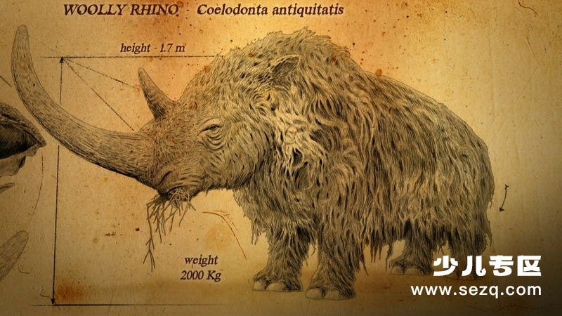 冰河巨兽 - 动画资源画廊第8张