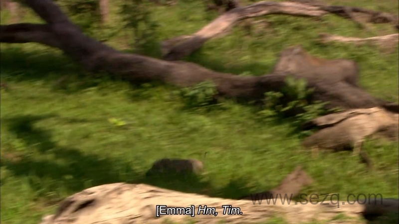 如果我是一只动物 - 动画资源画廊第3张