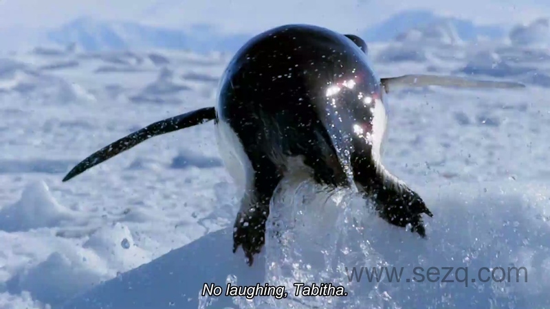 地球星球 - 动画资源画廊第3张