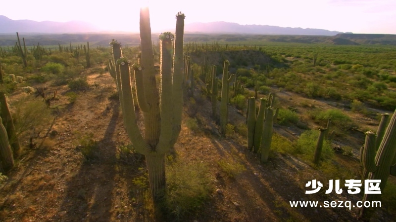 怪诞星球 - 动画资源画廊第6张