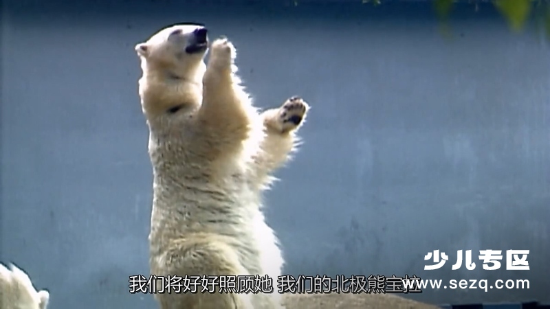 森林动物园 - 动画资源画廊第4张