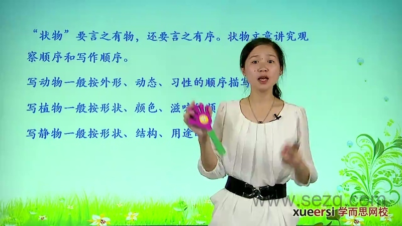 小学语文知识大全——小学分类作文全攻略 - 动画资源画廊第7张