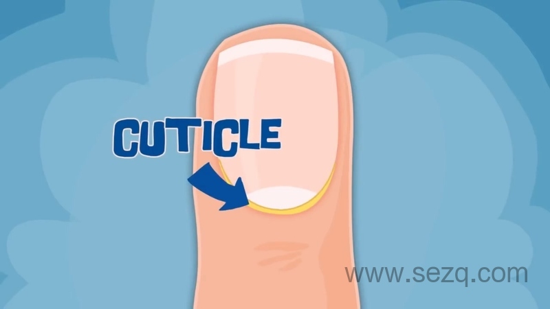 你的身体是如何工作的 - 动画资源画廊第6张