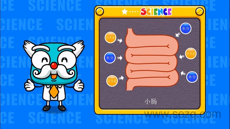 身体秘密 - 动画资源画廊第7张