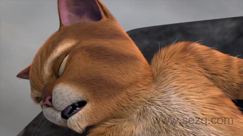 穿靴子的猫历险记 - 动画资源画廊第3张