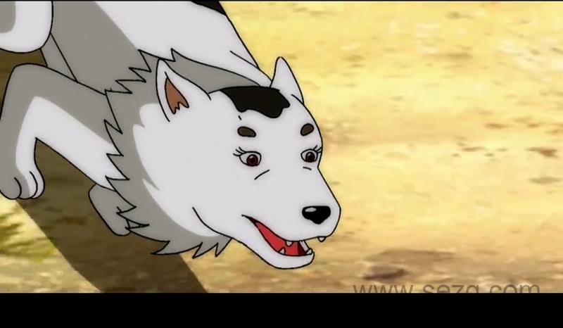 搜救犬阿虎 - 动画资源画廊第8张