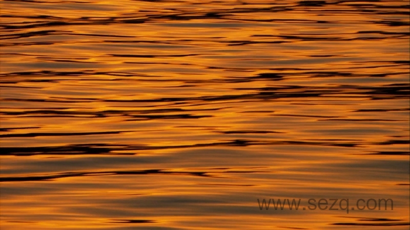 最后一眼 - 动画资源画廊第8张