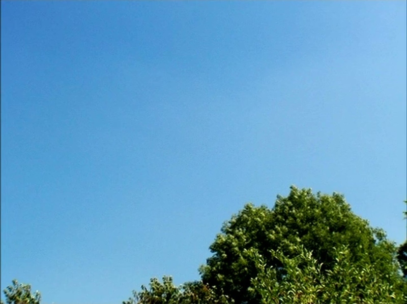 昆虫小世界 - 动画资源画廊第5张