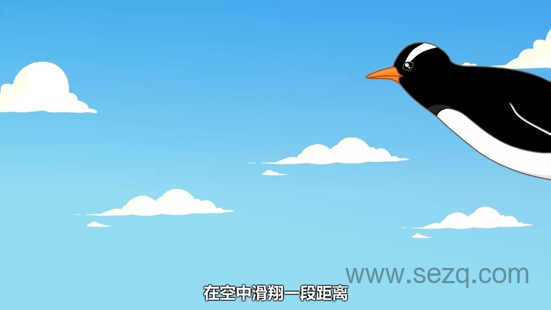 兔小贝之动物奇缘 - 动画资源画廊第3张