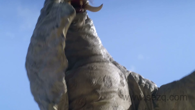 泽塔奥特曼 - 动画资源画廊第4张