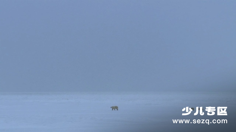 冰冻星球 - 动画资源画廊第2张