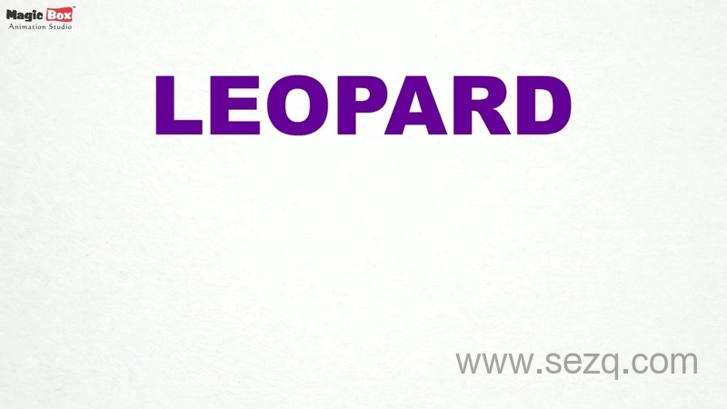 SOLO1～6岁美国原版幼儿园启蒙英语 - 动画资源画廊第9张