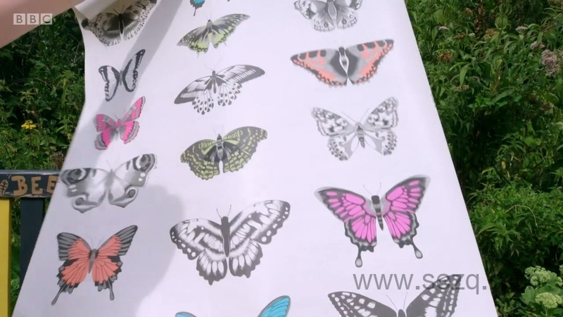 你知道吗？ - 动画资源画廊第7张