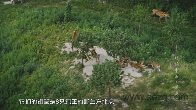 航拍中国 - 动画资源画廊第8张