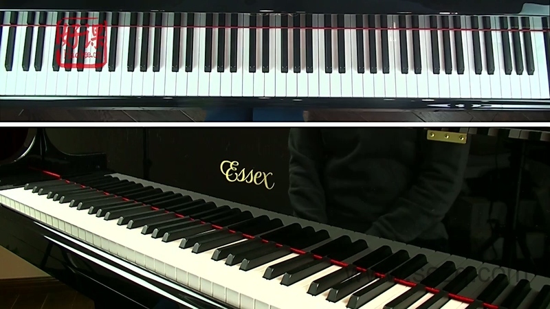 好课小汤幼儿钢琴课程 - 动画资源画廊第9张