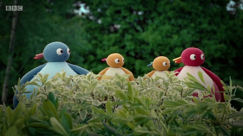 趣趣知知鸟 - 动画资源画廊第6张