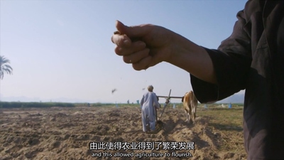 BBC纪录片《不朽的埃及 Immortal Egypt》第一季 英语版 全4集MP4下载 - 少儿专区