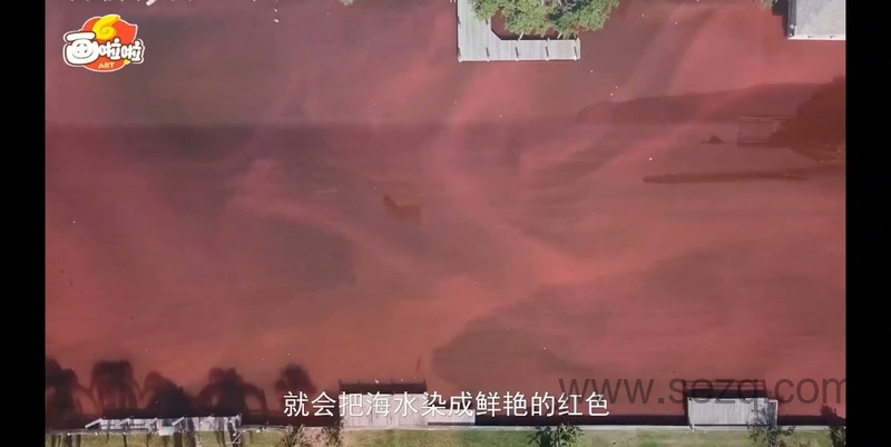 海底世界总动员 - 动画资源画廊第3张