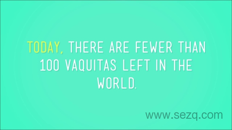 Crash Course Kids - 动画资源画廊第4张