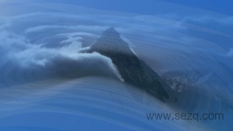 安迪的动物宝宝 - 动画资源画廊第5张