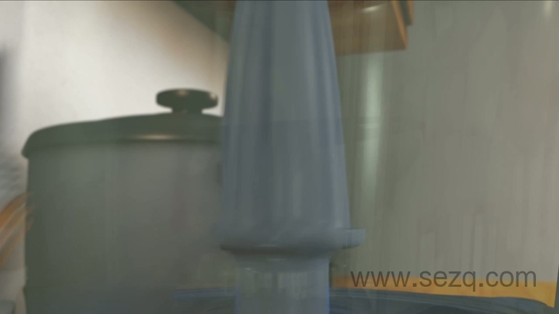 蜥蜴兄弟 - 动画资源画廊第1张