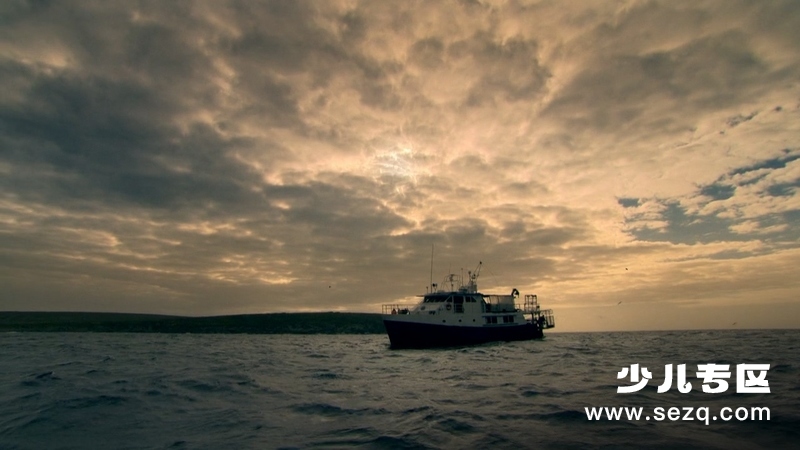 生命的奇迹 - 动画资源画廊第4张