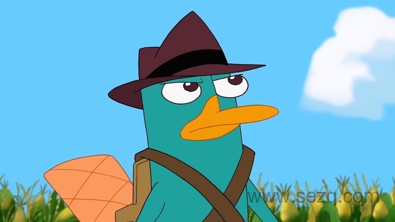 飞哥与小佛 - 动画资源画廊第4张