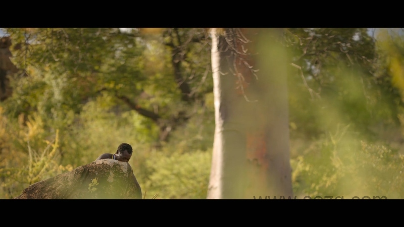 外星世界 - 动画资源画廊第6张