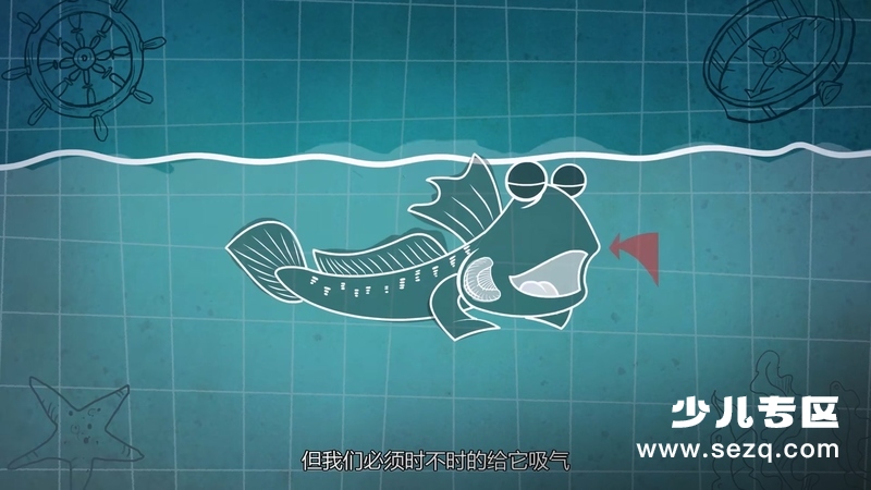 我是一条鱼 - 动画资源画廊第9张