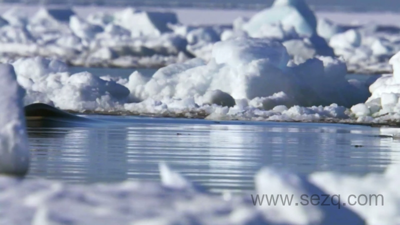 地球星球 - 动画资源画廊第8张